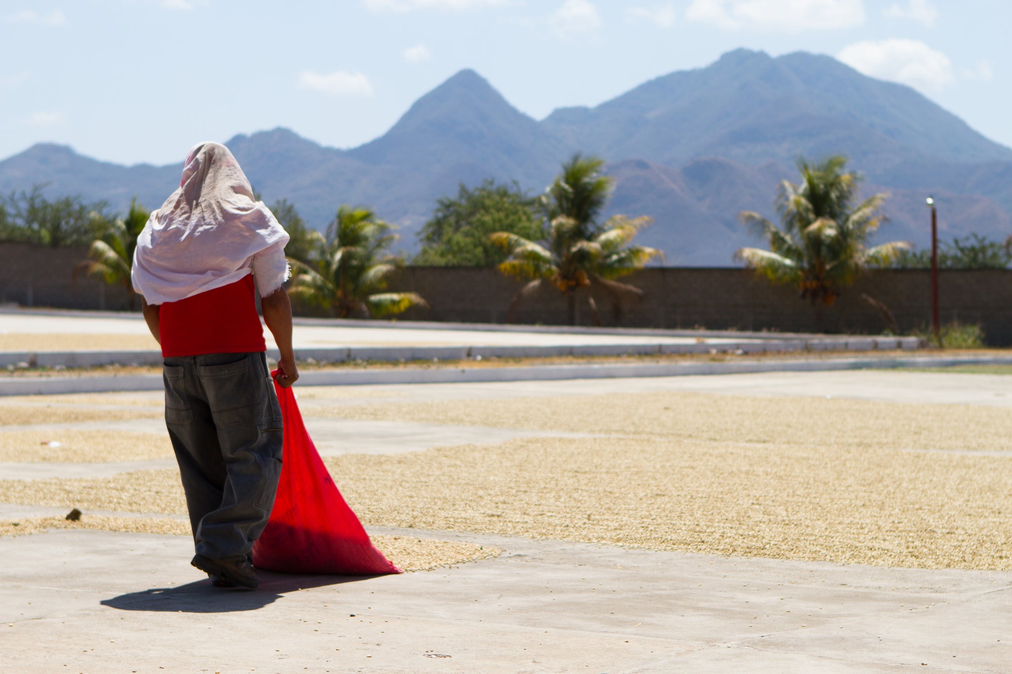 The Road to Excellence