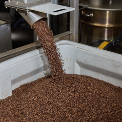 Coffee pouring out of a chute into a large tub