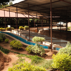 Cyarumbo outdoor coffee fermentation tanks