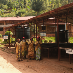 Women of the Cyarumbo washing station welcoming visitors with a song