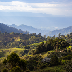 Lush green hills and valleys surrounding Jardines Del Eden Coffee Farm in Colombia under a clear blue sky.