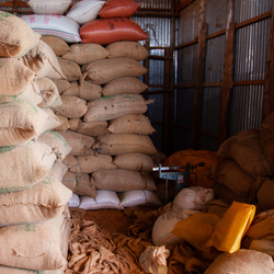 Stacks of coffee in hessian bags inside a warehouse