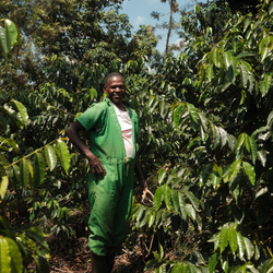 Man in green coveralls standing among coffee trees