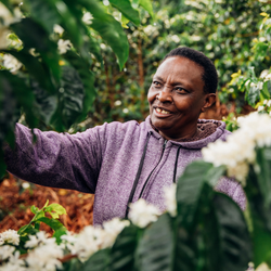 Peris standing amongst her blooming coffee trees