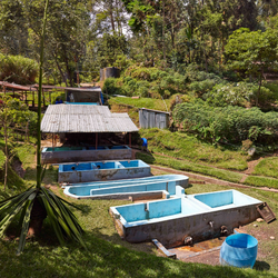 A coffee washing station with concrete channels