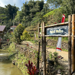 sign on a coffee farm entrance road